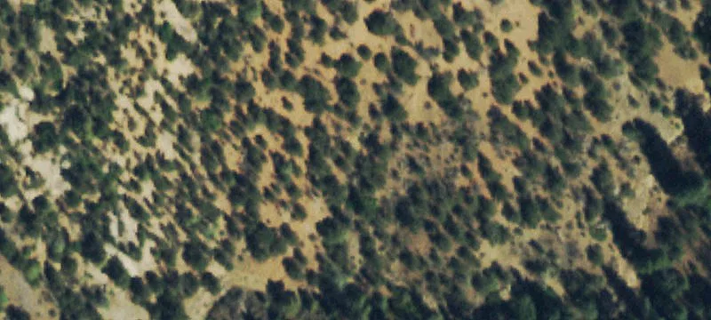 Mountain View Land Parcel