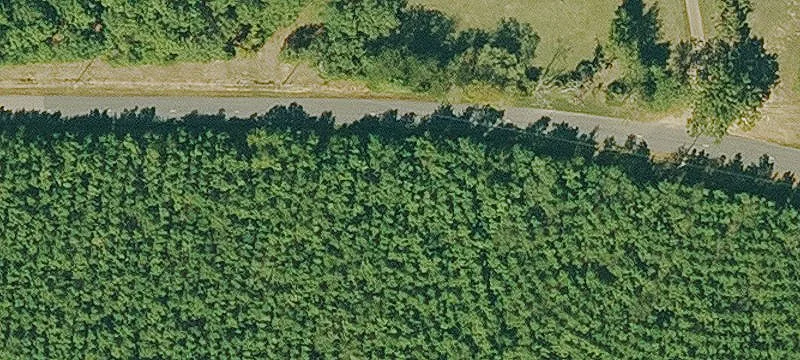 Residential Land Lot