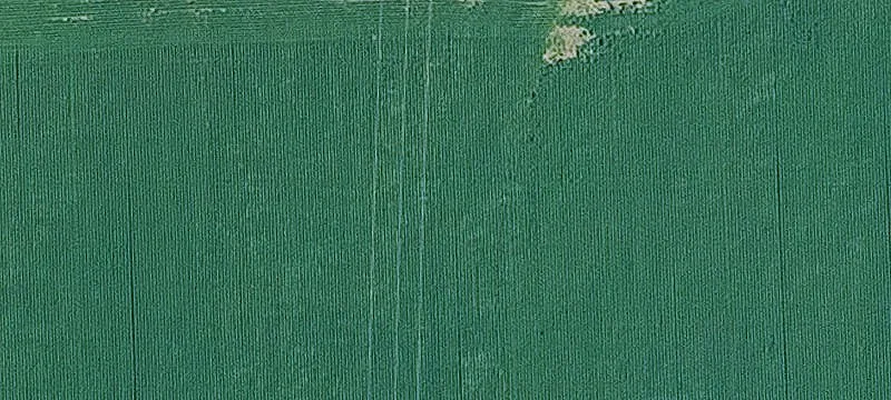 Timbered Hunting Land