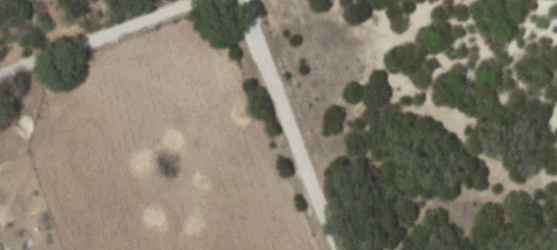 Ranch-Style Farmland Tract