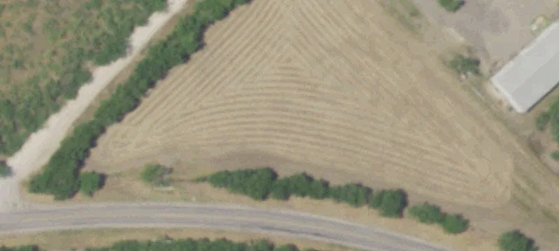 Agricultural Land Tract with Ranch Cabin