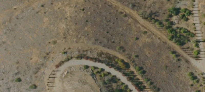 Ranch Land with Avocado Groves