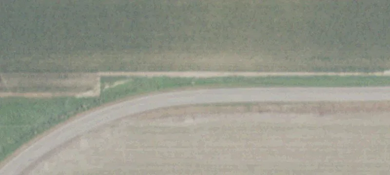Working Chicken Farm Property