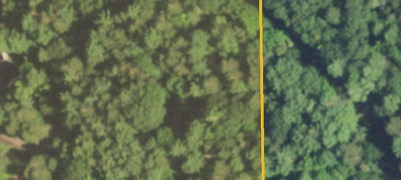 Wooded Residential Home Lot