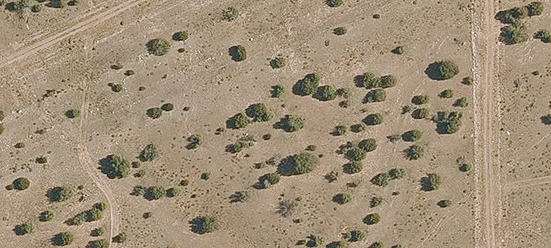 Sloped Timbered Ranch Parcel
