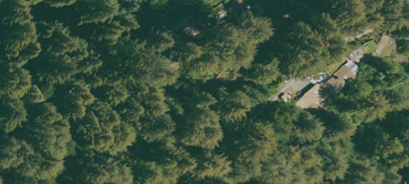 Forested Recreational Land Parcel