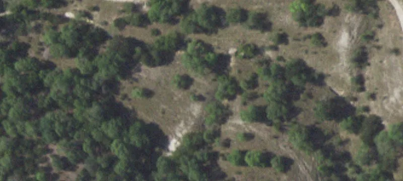 Ranch Property with Spring-Fed Lake