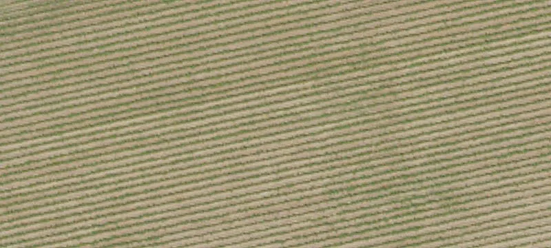 Agricultural Vineyard & Orchard Land
