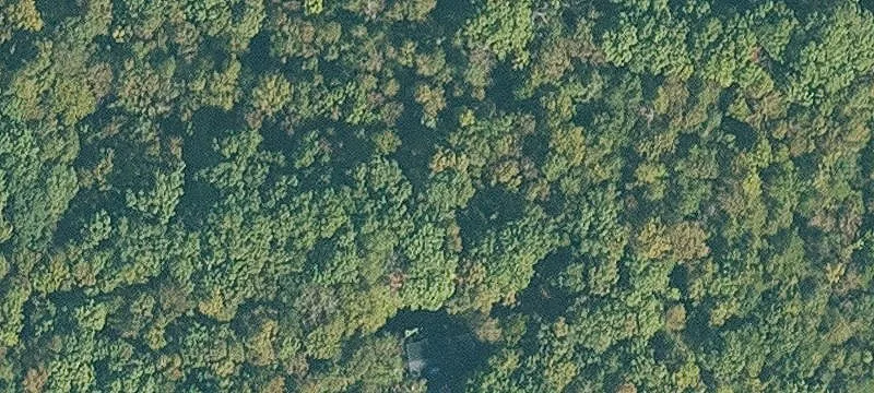Wooded Recreation Lot