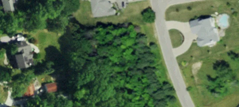 Wooded Cul-de-Sac Home Lot