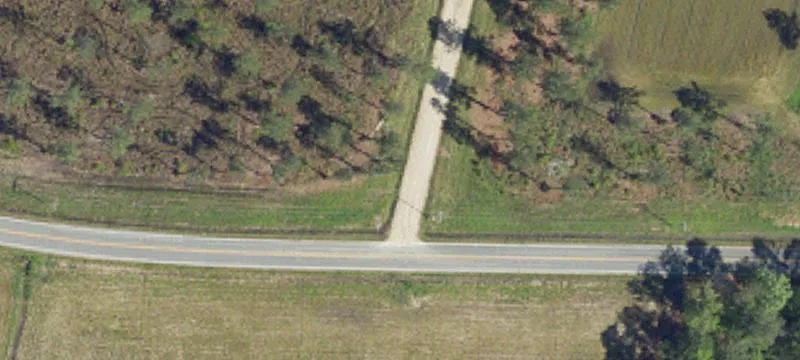 Wooded Land Parcel