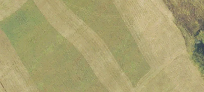 Equestrian Property with Barn
