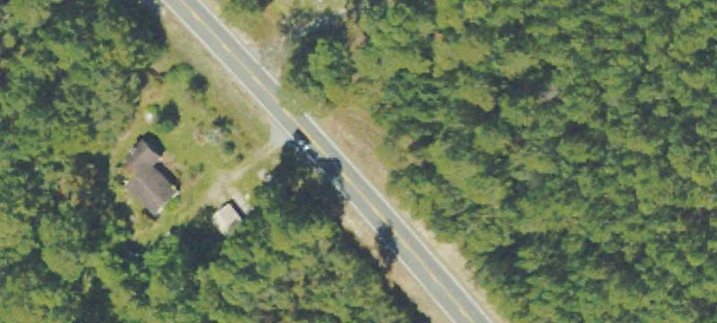 Hunting Land with Planted Pines