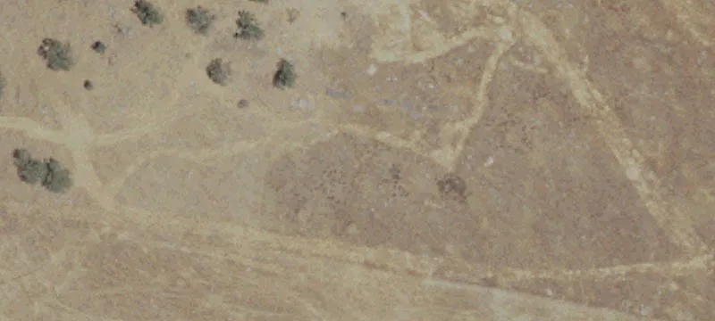 Agricultural Land Parcel