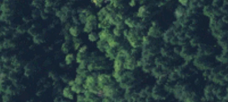 Creek-Front Residential Land Parcel
