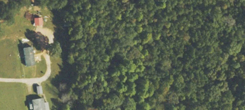 Residential Land Tract with Road Frontage