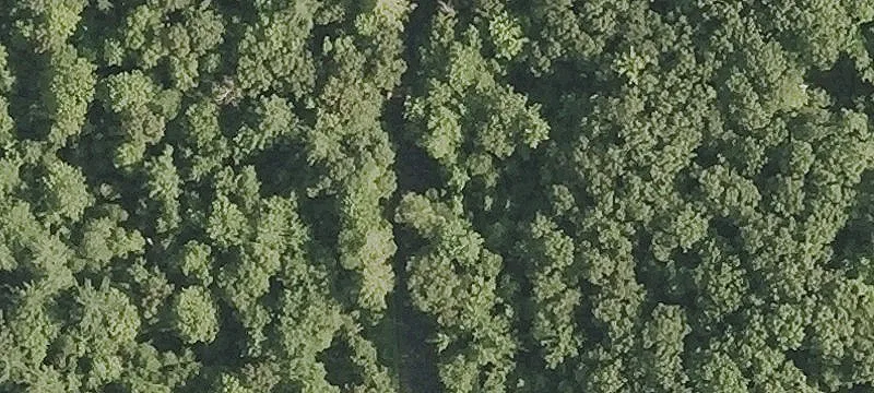 Wooded Residential Development Land
