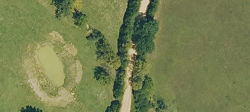 Unrestricted Timber Hunting Land