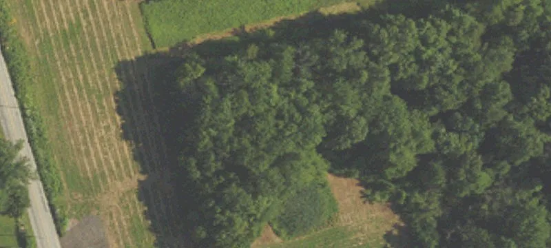 Industrial Development Land