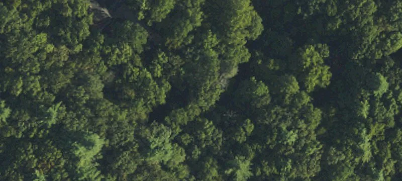 Multi-Lot Residential Development Land