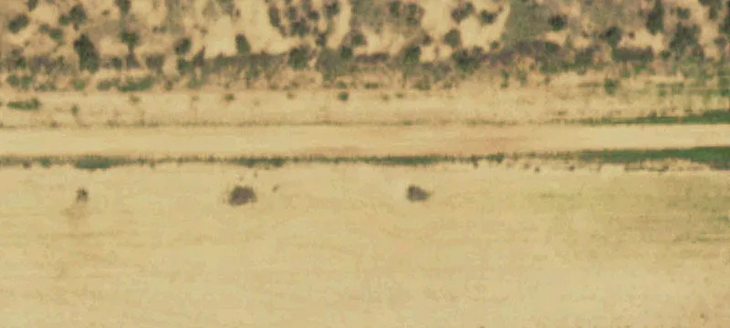 Hunting Land with Cabins