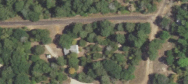 Wooded Land Lot