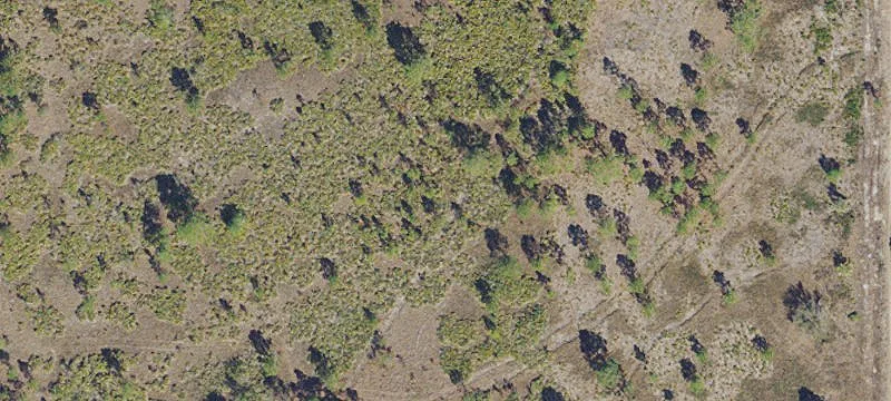 Vacant Land Parcel