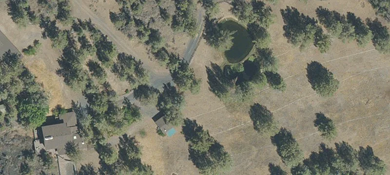 Agricultural Hobby Farm Property