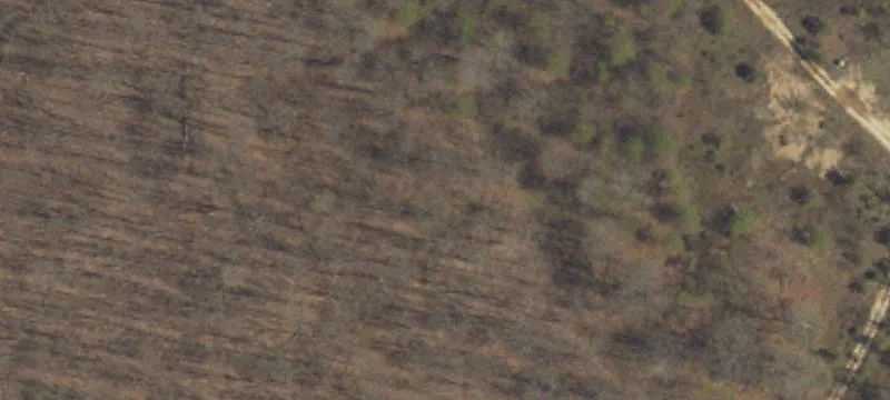 Recreational Hunting Camp Property