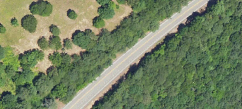 Timber and Pasture Tract with Creek