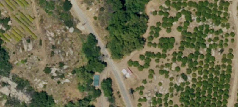 USDA-Certified Specialty Fruit Farm