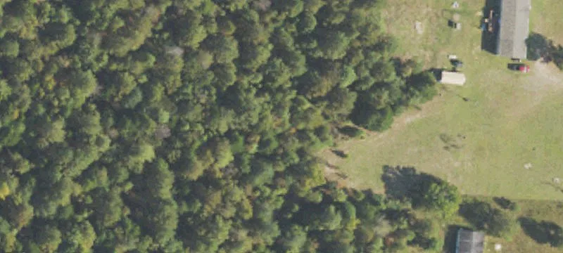 Turnkey Hunting and Recreation Tract