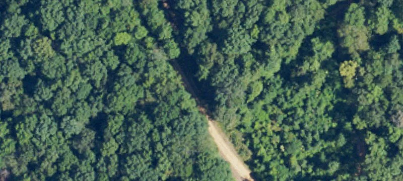Turn-Key Hunting Land With Cabin Site