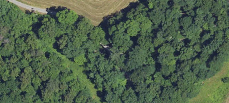 Agricultural Land with Wildlife Edge