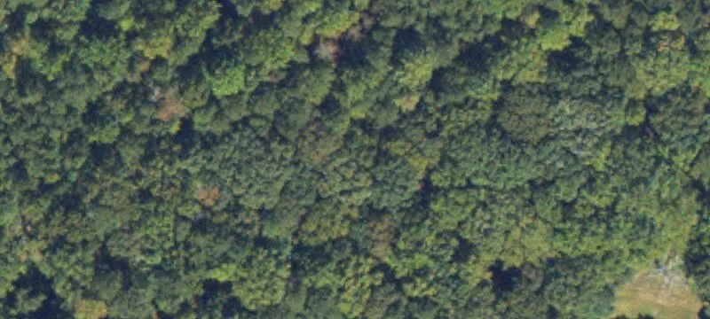 Wooded Land Parcel