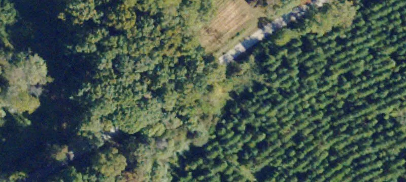 Rolling Agricultural Land Parcel