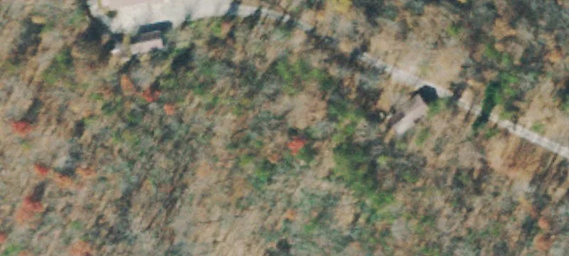 Wooded Cabin-Ready Land Lot