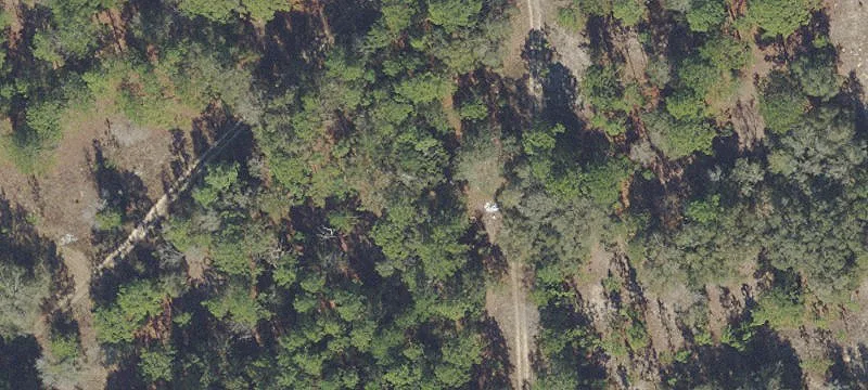 Buildable High-Dry Residential Lot