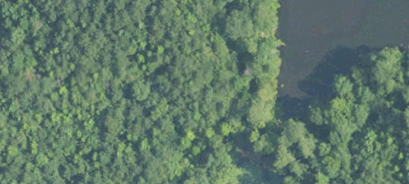 Residential Land with Pond