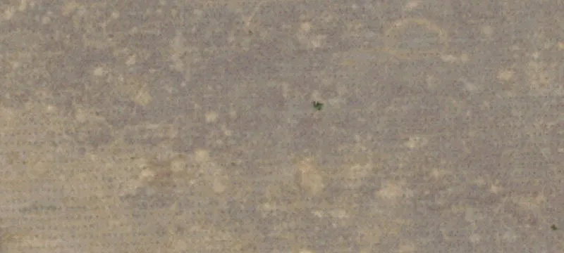 Agricultural Land with Development Potential