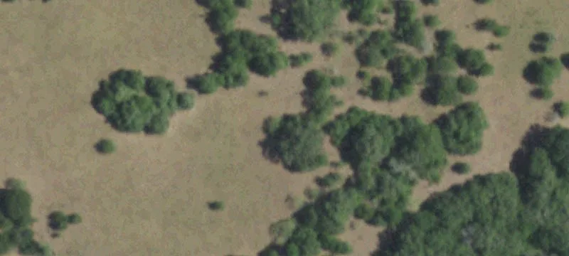 Recreational Ranch Acreage Tract