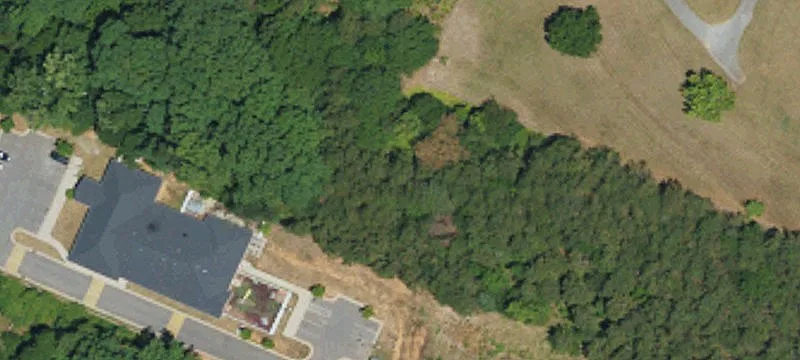Wooded Development Lot