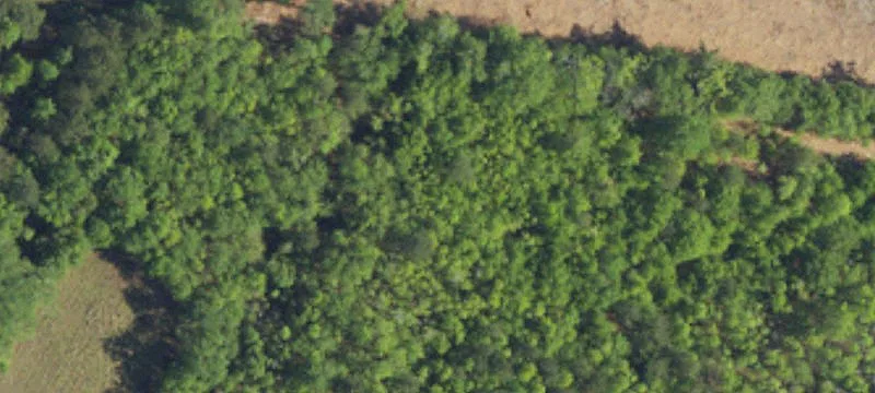 Residential Land Lot