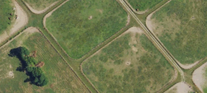Thoroughbred Horse Farm