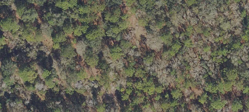 Residential Land Lot