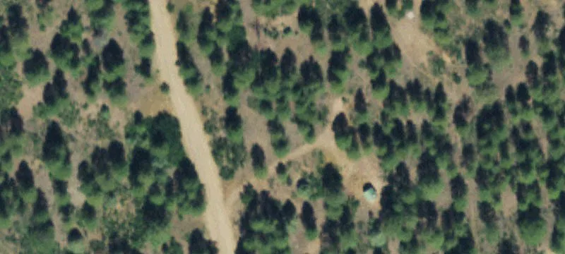 Wooded Residential Building Lot