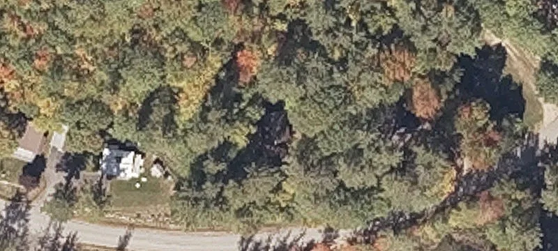 Elevated Residential Development Land