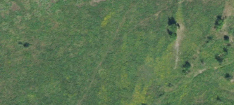 Recreational Hunting and Pasture Land