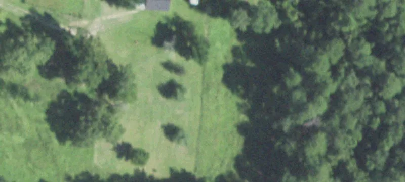 Turnkey Farm Estate with Home