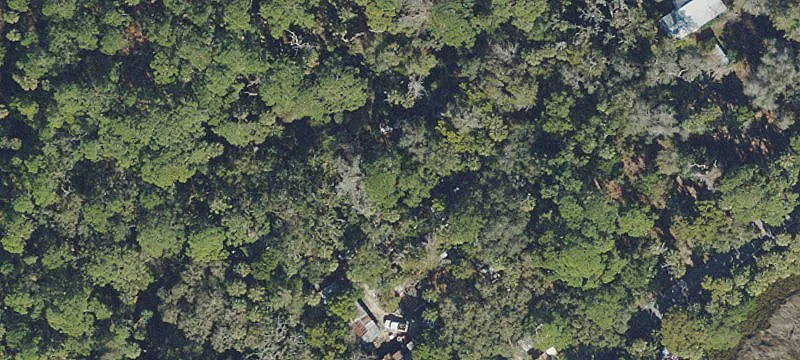 Agricultural Land Parcel